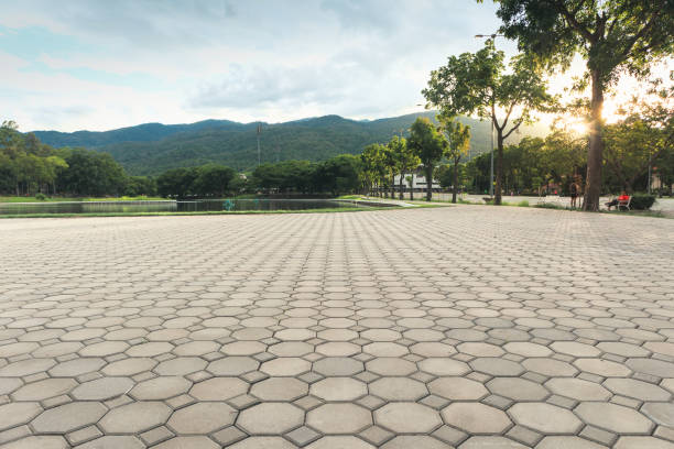 Best Local Driveway Pavers  in Erie, IL